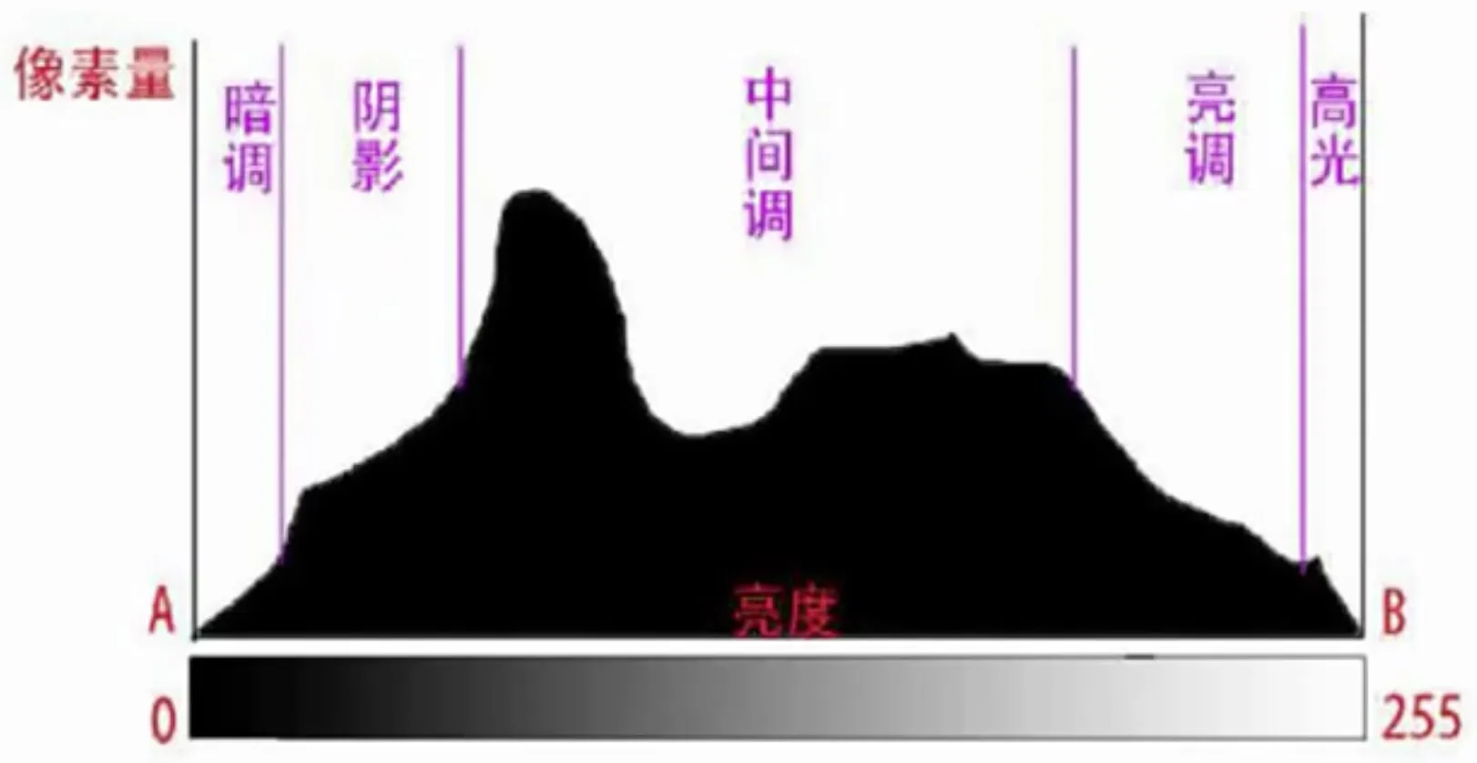 直方图